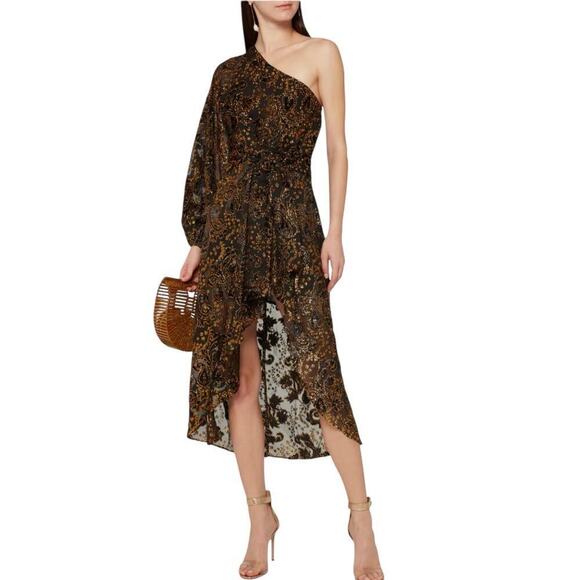 Hemant & Nandita Inara Flocked Lurex Chiffon Midi Dress In Gold Size XS - Picture 3 of 14